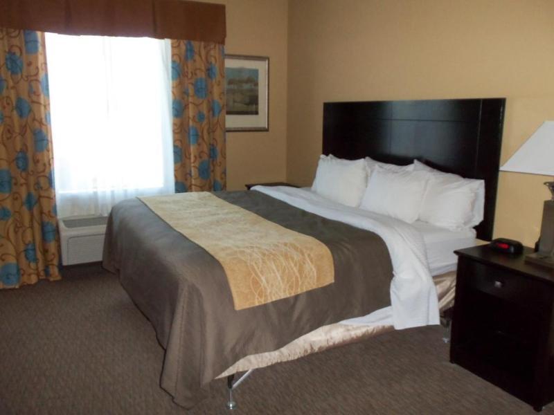 Comfort Inn Near Frost Bank Center サンアントニオ エクステリア 写真